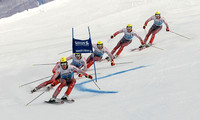 Herman Maier (Aut)