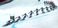 Didier Cuche (Sui)
